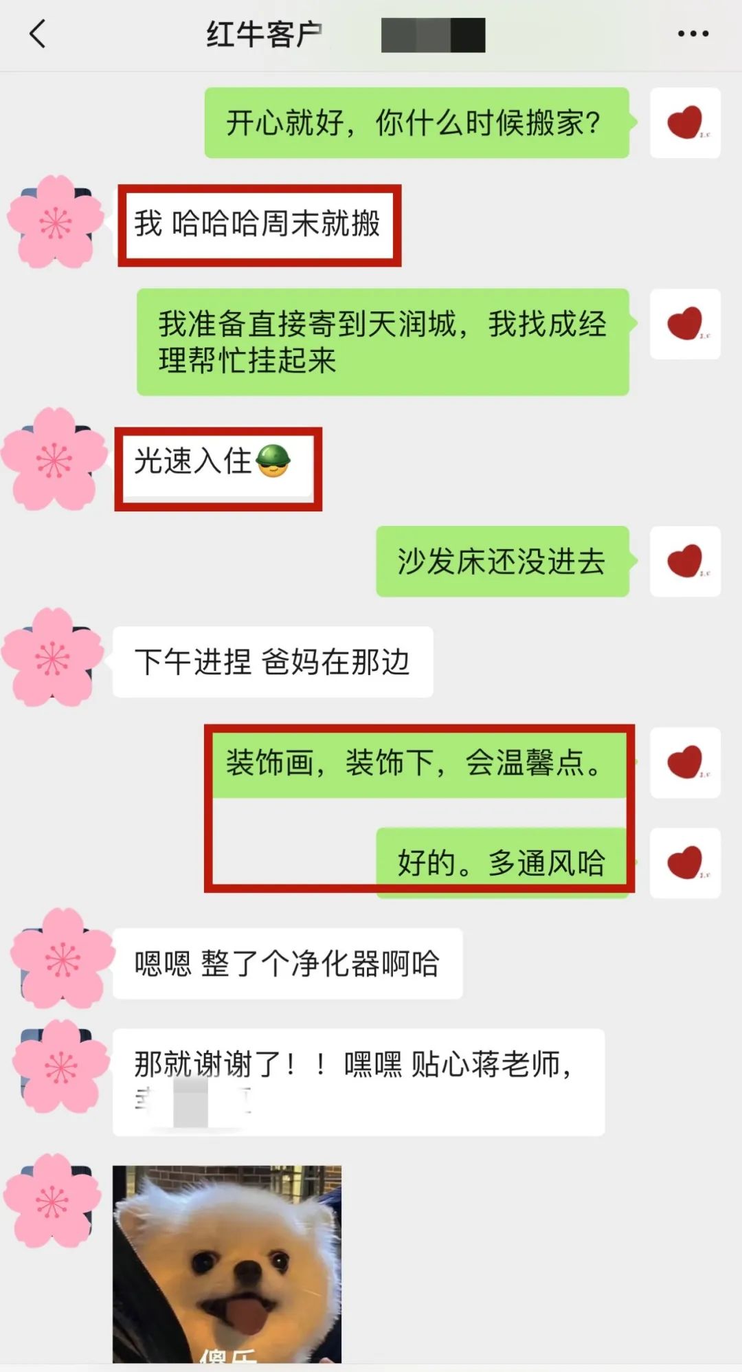 喜報｜金秋十月，收獲滿滿，紅牛裝飾再獲三面錦旗！05